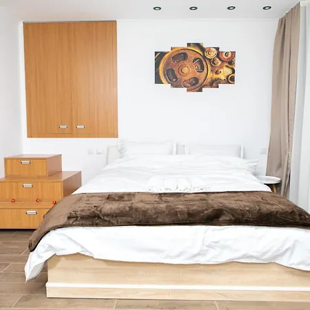 בית הארחה Casa Elisabeta בראשוב